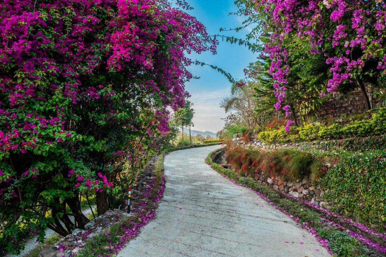 Tree Of Life Resort Dehradun Foothills Dış mekan fotoğraf