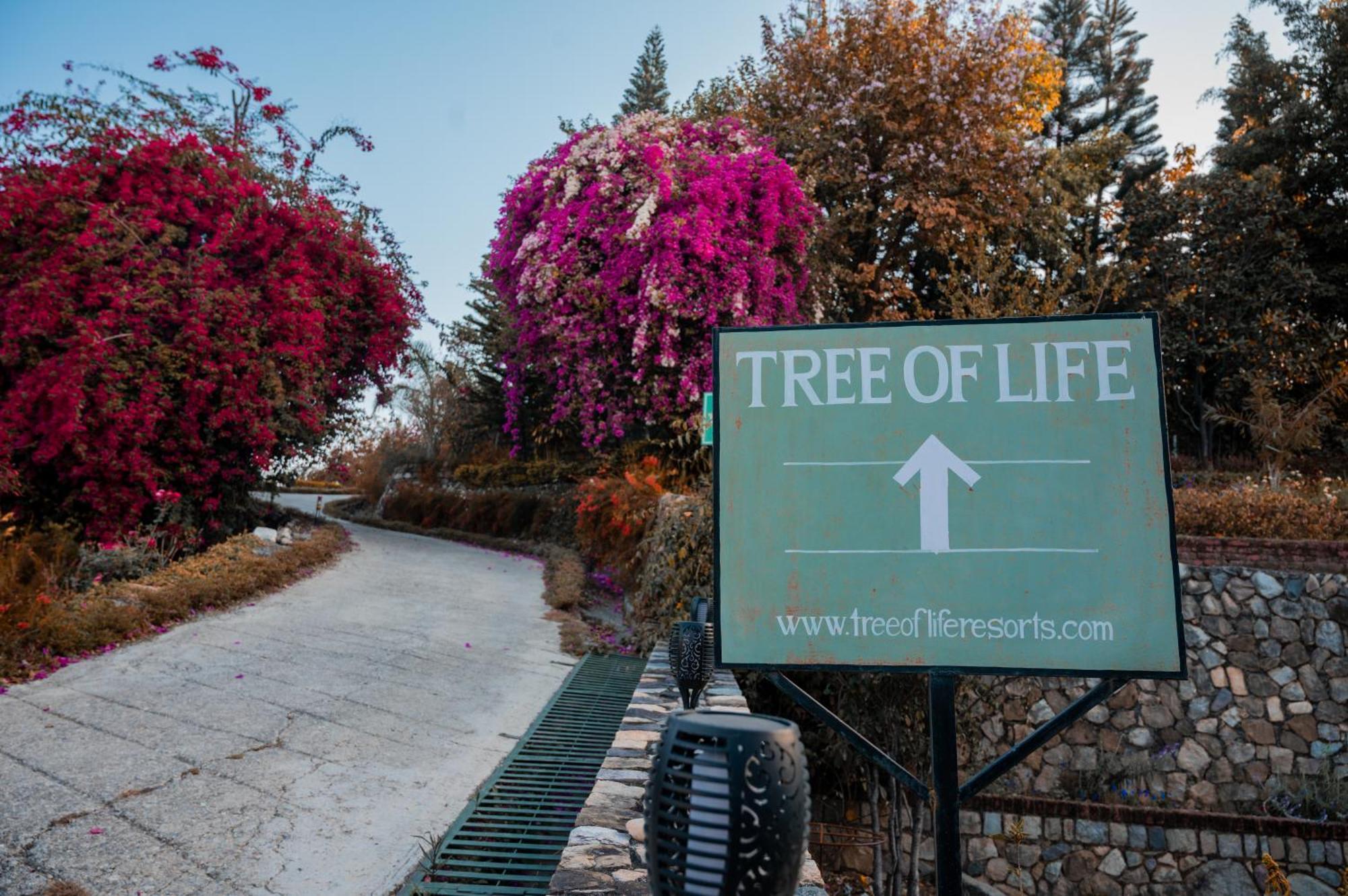 Tree Of Life Resort Dehradun Foothills Dış mekan fotoğraf